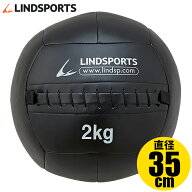 ソフト メディシンボール 2kg 直径35cm ウォールボール ウエイトボール 筋トレ 筋力 体幹 トレーニング …