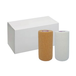 e[v PRO Lo100mm×4.6m 6{ F1 X|[c e[sOe[v LINDSPORTS hX|[c