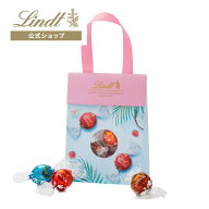 ≪クーポンご利用で50％OFF≫リンドールバッグ 6個入 ピンク