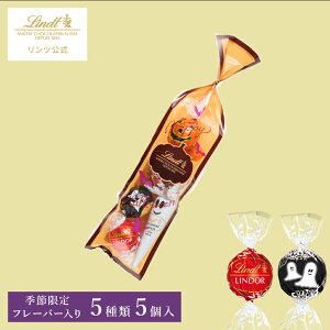�n���E�B�� �����c Lindt �`���R���[�g �����h�[�� �� �V���R���X�e�B�b�N �A�\�[�g 5���b�n���E�B�� �M�t�g �X�C�[�c ���َq �m�َq �`���R �l�ߍ��킹 � �v�`�M�t�g ���� ��y�Y ��