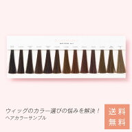 「カラーサンプル」 ウィッグ ネット スタンド マネキン キャップ クリップ テープ 両面 シャンプー リン…