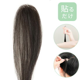 【リニューアル】増毛シール 増毛シート 人毛100％ 人毛 自然 円形脱毛症 隠す「円形脱毛用つけ毛 両面テープ付き」 円形脱毛隠し 部分ウィッグ 部分増毛 ポイント増毛 メンズ レディース 円形脱毛 貼る増毛 貼るウィッグ 貼る LINEASTORIA リネアストリア 送料無料