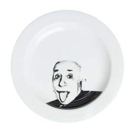サンアート おもしろ食器 「 偉人フェイスディッシュ 」 アインシュタイン 中皿 直径23.5cm ホワイト SAN2208-2