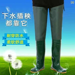 Y fB[X \tg  c \bN X[p[ nCj[ nC tB[h V[Y O Cu[c tBbVO t@[ 