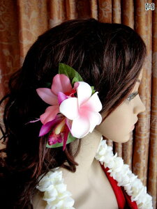 nCAt_X r[` wbh hX wAANZT[ vẢԊ. t[l.r[`..JtJ[