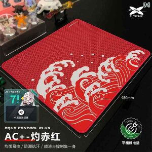 X - Raypad AC Wave Rough Control Q[~O }EXpbh FPS 4 mm    CeA ItBX fXN