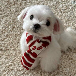 p jbg }t[ g  ybg ANZT[ ~ VN 蕨 킢 JWA  lbN