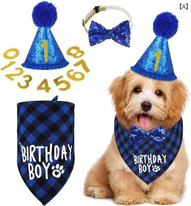  efB rV ap 悾ꂩ XJ[t Op  lN^C  Xq p[eB[ CAEg JWA 킢