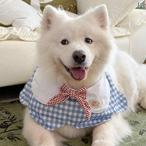 2025N p 킢 }t[ u[ 傫 `FbN Ԃт ^ E ^ S[fgo[ {[_[R[