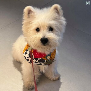 ybgp 悾ꂩ p WfB ETM Lp  p  ^ E ^ EFXeB 킢 JWA 