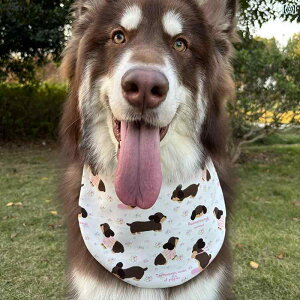  t z ^I ^ ^ h 悾ꂩ 킢  XP[g {[h ybg h~ JWA 