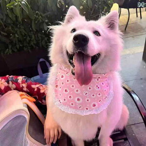 S[fgo[ p 悾ꂩ XJ[t lbNEH[}[ ^  ANZT[ {[_[R[ uh[ JWA