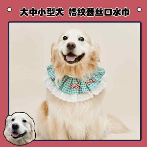  ybg 悾ꂩ efB S[fgo[ R[M[ TGh XJ[t ^ ^ ^ [X J[t ANZT[