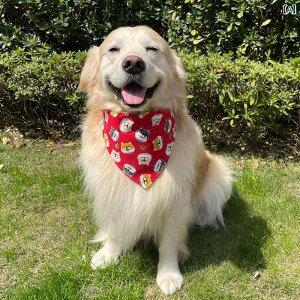  ybg 悾ꂩ Op XJ[t ^ ^ ^ S[fgo[ TGh  lbN ru 킢 JWA 