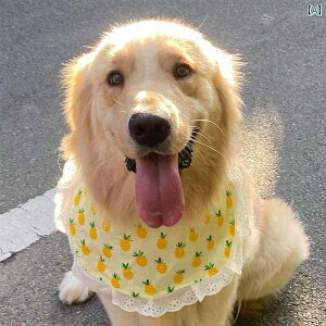 ybg p 悾ꂩ XJ[t ANZT[ ^ vZX ^C ^E S[fgo[p AXJ JWA