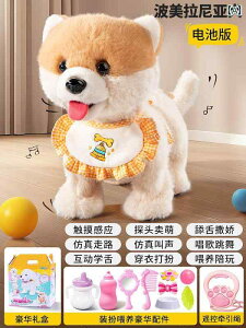 q   Ԃ ps[ d ʂ JԂ l` 1΂̑蕨 킢 JWA hbO jZbNX