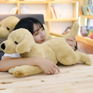  ʋC  IX o ݂ɋ ^ ދ a炰 l`  ybg pi ʂ ps[ JWA