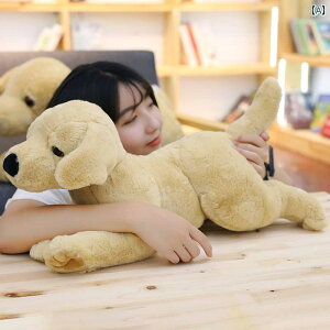  ʋC  IX o ݂  ^ ދ a炰 l`  ybg pi 킢 JWA XgXU