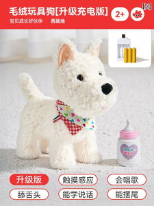 Ԃ  EGXg nCh ps[ q ʂ l` dC @B  V~[V  ̂ 킢