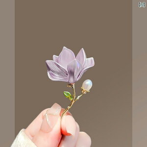 W ^ }OmA u[`   R[g s ANZT[ 킢  GKg fB[X