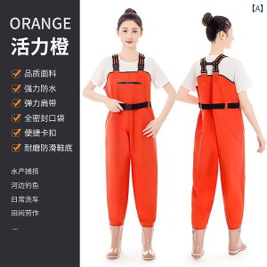 lp EF[fBO pc C ނp WvX[c  h EH[^[ V[Y Sg  r p .Vv