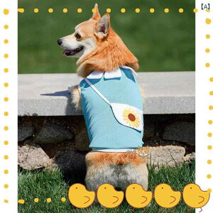 R[M[ .N[  p ^ xXg ėp Ђ܂ ybg 킢.JtJ[.IV2025N