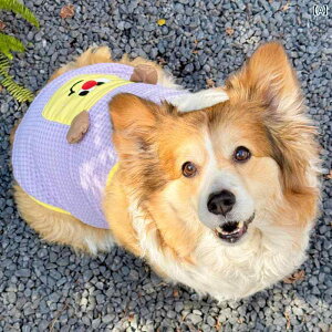 ėp   R[M[ TXy_[ xXg  E  h~ qp..JtJ[.IV.2025N