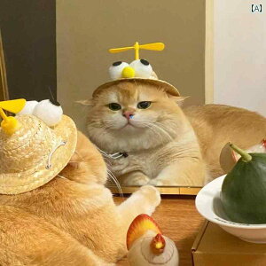  XqL  ybg 蕨 R[M[ jbgX rV xA |Ƃڂ ʐ^ 킢 t s.JtJ[.IV