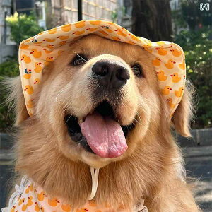 ^ p Xq ėp   Ăh~ {[_[R[ S[fgo[ uh[ TGh.JtJ[IV