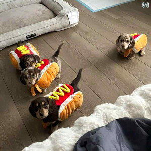   _bNXtg  y zbghbO ʔ ^  ybg L  N.JtJ[.IV