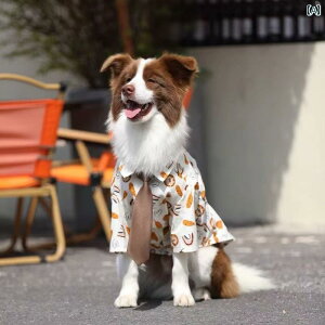    킢 {[_[R[ Vc S[fgo[ uh[ h[x} ^  h~ .