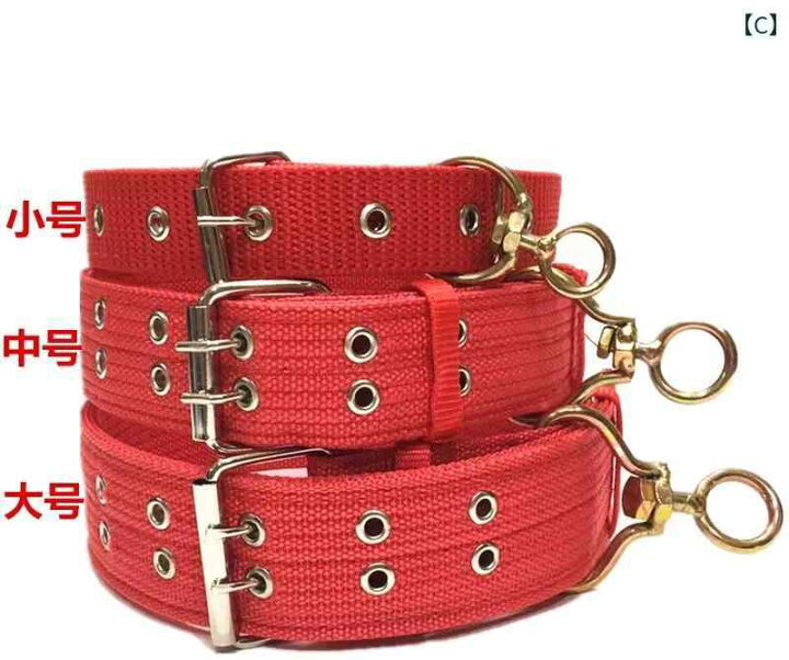 楽天市場】大型 犬用 首輪 ペット 品 中型 ゴールデンレトリバー 