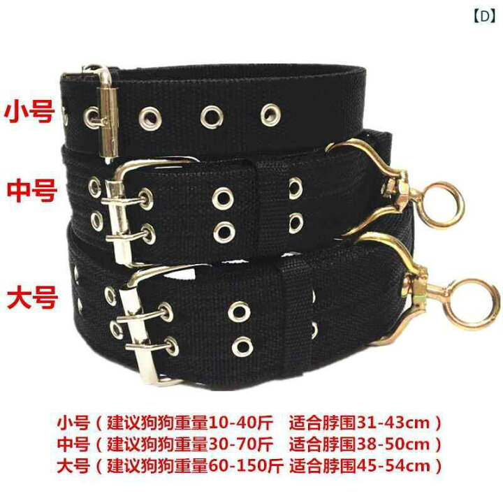 楽天市場】大型 犬用 首輪 ペット 品 中型 ゴールデンレトリバー 