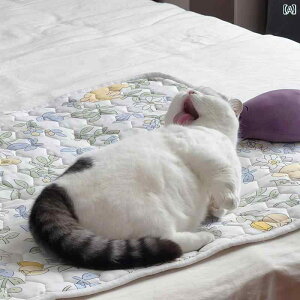 y xbh V[c т cȂIz  Q  L }bg lG ʂ p ybg.JtJ[.IV