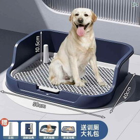 尿 パッド 不要 犬用 トイレ 全自動 排便 洗浄 定点 器 専用 大き目サイズ シンプル トレーニング ラージ ブルー インテリア
