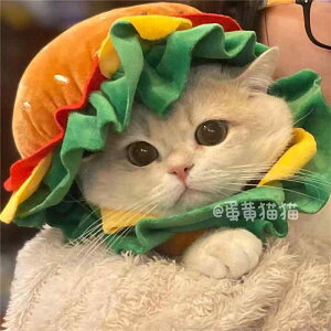  L / ybg no[K[ wbh MA 킢    GUxXJ[ r h~.JtJ[.IV