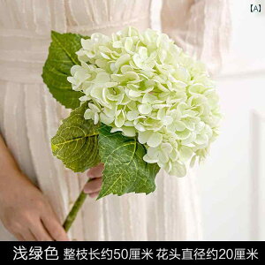 A  ێ V~[V傫 AWTC  rO [ _CjO R[q[ e[u   Be 