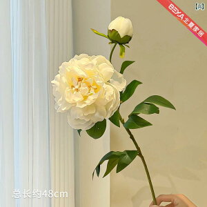  lH O y ԑ rO [  Ԃ e[u.VvX^C.JtJ[IV2025N