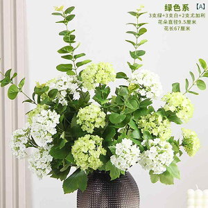 ؐ AWTC V~[V u[P Ԃ  i rO [ e[u erLrlbg  Ԃ |p