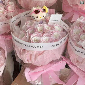 vU[uht[ h[p~n[ h[ Mtg ޏ LeB  V~[V \[v u[P 520 a.킢