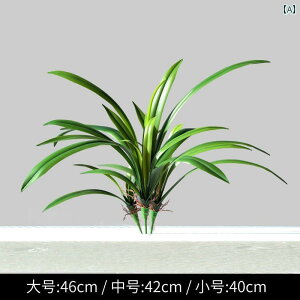 ͑ O[ A  Xy[X  ޗ DIY t[AWg y_g  Ǌ|   ~.JtJ[IV