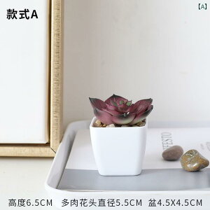 ͑   A ItBX fXN gbv  ~j T{e  A Ԃ i.JtJ[IV