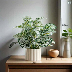 k  V~[V A A  i rO [  ItBX fXN gbv ~ oCIjbN Ԃ