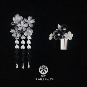 Vo[ a ANZT[ [^   񂴂 ׍H TChNbv wAs  JWA