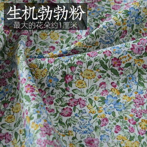 |v Rbg n ԕ ėp Cg vg F pb`[N DIY  .JtJ[IV