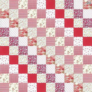 Ȃ qp Lg cC n pb`[N DIY  f sN u[ O[ V[Y Zbg.JtJ[IV