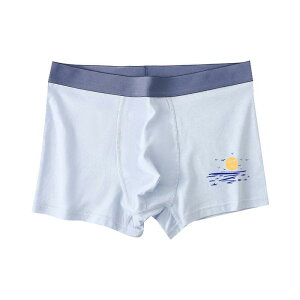  Y {NT[pc V[c pc A_[EFA  Rbg ʋC {[CY j̎q q LbY WjA xr[ [CY 4Zbg 5Zbg 킢  ig