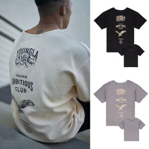 TVc jp  g[jO gbvX AEghA g X|[c JWA  傫TCY  ubN O[ x[W uEn