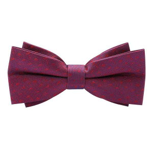 ̌ Y VY EFfBO  tH[} lN^C Cbh   XgCv rWlX p[eB[