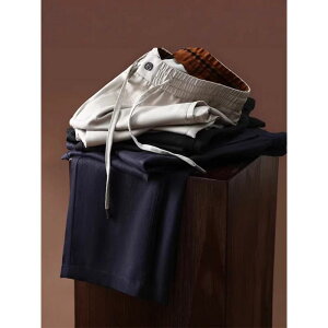 pc Y jp e[p[h l a  ʋC ڐG⊴ C[W[pc rWlX JWA ubN lCr[ O[